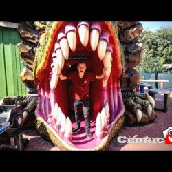 Böhmischer Prater Wien || Vlog 2020 Böhmischer Prater Wien || Vlog 2020